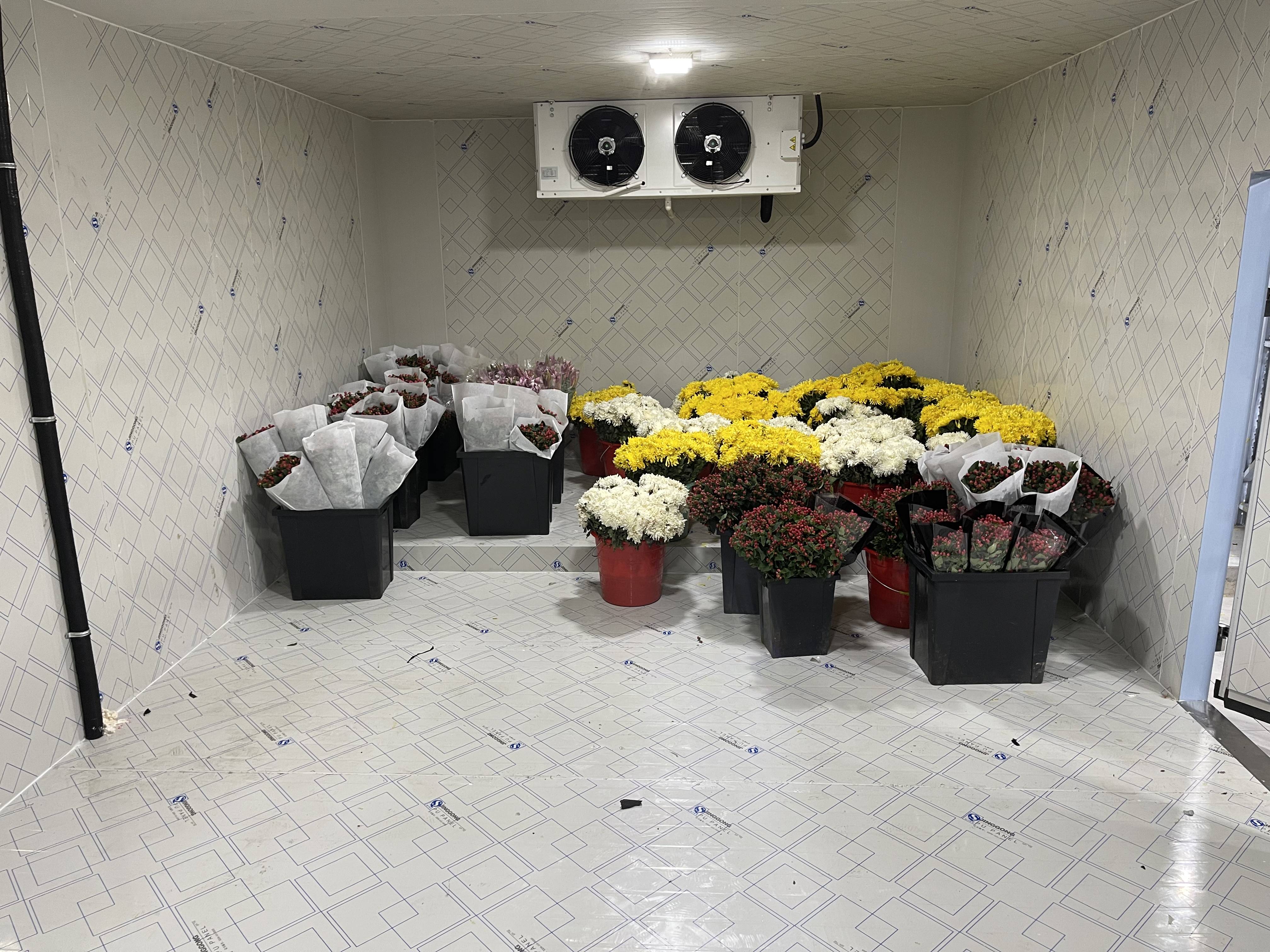 微信(xin)圖片_202303131352455